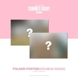 2019　BLACKPINK'S　SUMMER　DIARY　IN　HAWAII BLACKPINK - 2019 BLACKPINK'S SUMMER DIARY IN HAWAII DVD+Book