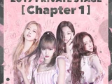 BLACKPINK 2019 Private Stage (Chapter 1)
