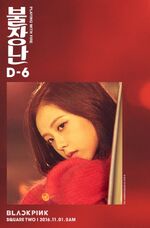 Jisoo Playing with Fire Promotional Picture