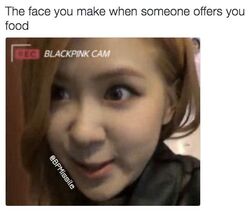 O MEME BLINKS KKKK #blackpink #blinks #blackpinkrose