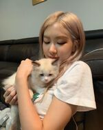 2-BLACKPINK-Rose-Instagram-Update-13-August-2019-with-Lily-Lisa-new-cat