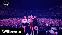 K-POP・アジア BLACKPINK 2019 TOUR IN YOUR AREA SEOUL BLACKPINK 2019-2020 World Tour 'In Your Area' | Kpop Wiki