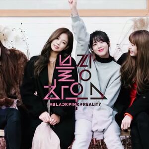 Blackpink House Gallery Black Pink Wiki Fandom