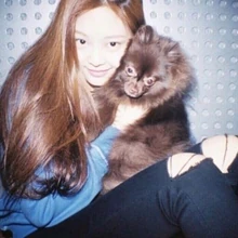 Kuma Black Pink Wiki Fandom