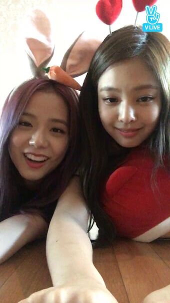 Jisoo Black Pink Wiki Fandom