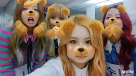 November 6, 2016 IG Update #1