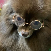 Kuma Black Pink Wiki Fandom