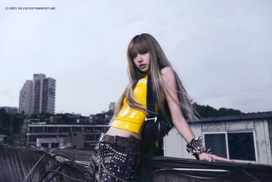 2017 MAMAMOO CONCERT 'MOOSICAL' Curtain Call | MAMAMOO Wiki | Fandom