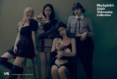 Blackpink 2020 Welcoming Collection | BLACKPINK Wiki | Fandom