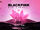 BLACKPINK The Virtual Banner 3.jpg