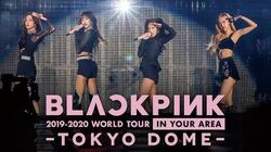 K-POP・アジア BLACKPINK 2019-2020 WORLD TOUR DVD Amazon.com: Blackpink 2019-2020 World Tour In Your Area