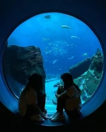 May 2, 2019 Instagram Update #14