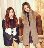 Nylon Japan