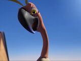 Jorge