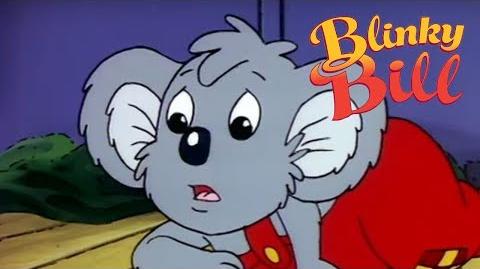 Blinky Bill - Episode 35 - Blinky Bill Is Kidnapped