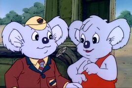 Who is Blinky Bill