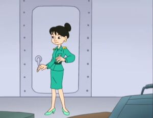 The plane stewardess