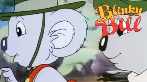 Blinky Bill - Episode 29 - Blinky Bill Goes Camping