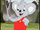 Blinky Bill (2004 TV show)/Gallery