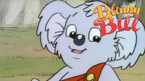 Blinky Bill - Episode 17 - Blinky Bill's Treasure Hunt