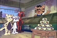 Blinky Bill and Club of Pet City of Cat