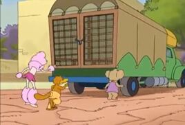 BB S3e20