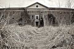 Asylum