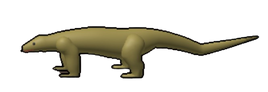 Komodo dragon no background