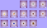 2019 Eggs