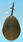 Golden Egg.png