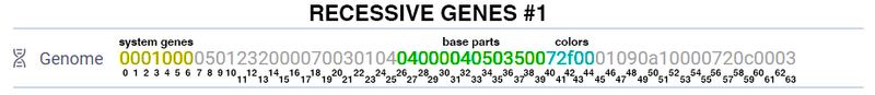Genes recessive 1.png