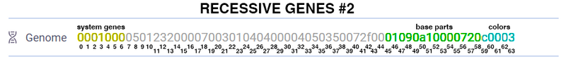 Genes recessive 2.png