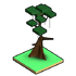 Kapok Tree.png