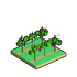 Vineyard.png