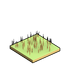 Wild Oats.png