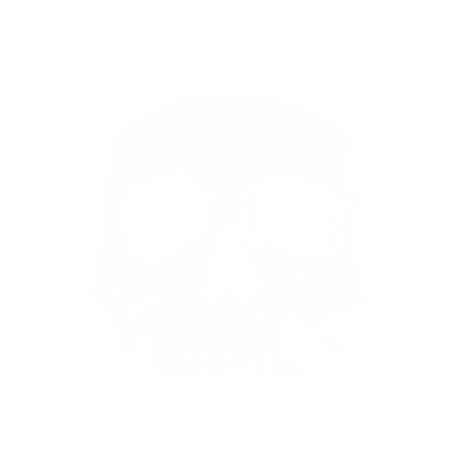 Skullcap Studios - development of game