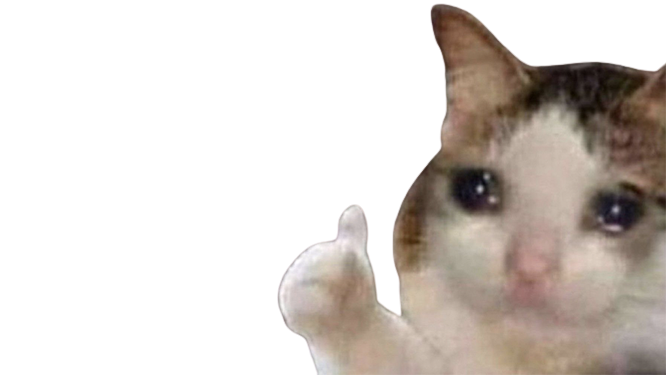 Crying_thumbs_up_cat.png