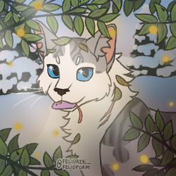 warrior cat name true meaning by Creamypaw – BlogClan