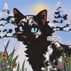 felidaze's cool cat creator｜Picrew