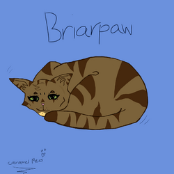 Firestar's Family Made Genetically Accurate by Briarpaw – BlogClan