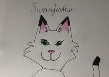 Swanpaw(feather)