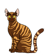 My OC Tigerstrike!