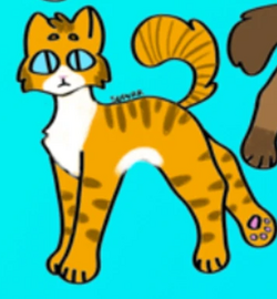 Examining The Warrior Cats System: Part II by Slatepaw – BlogClan