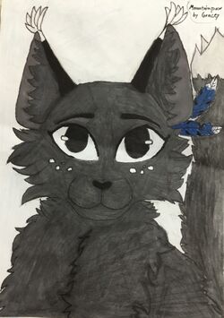 Examining The Warrior Cats System: Part II by Slatepaw – BlogClan