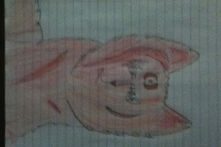 AmbergazeCakestarDrawing.jpg