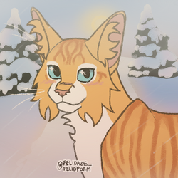 Examining The Warrior Cats System: Part II by Slatepaw – BlogClan