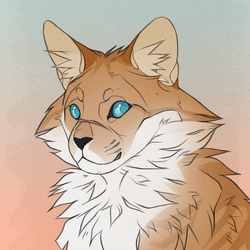 Examining The Warrior Cats System: Part II by Slatepaw – BlogClan