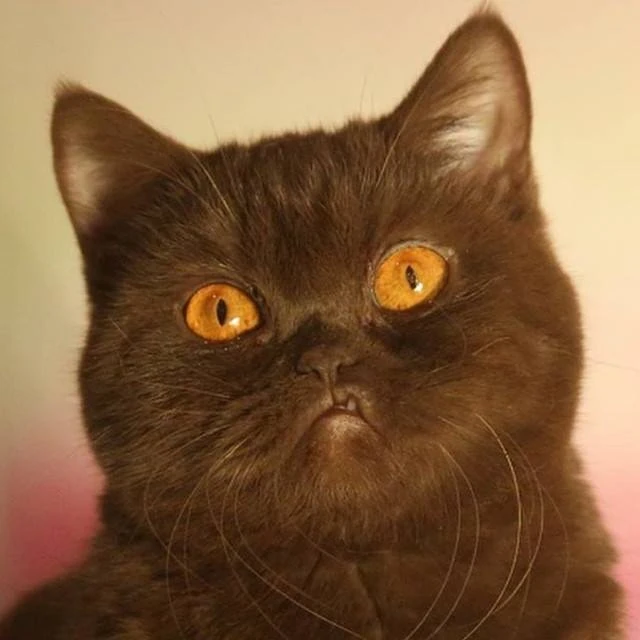 Первомай мир, труд, дрифт и прочее DRIVE2