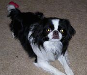 IMG 0793.jpg