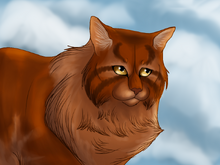 Cakestar 2015 3.png